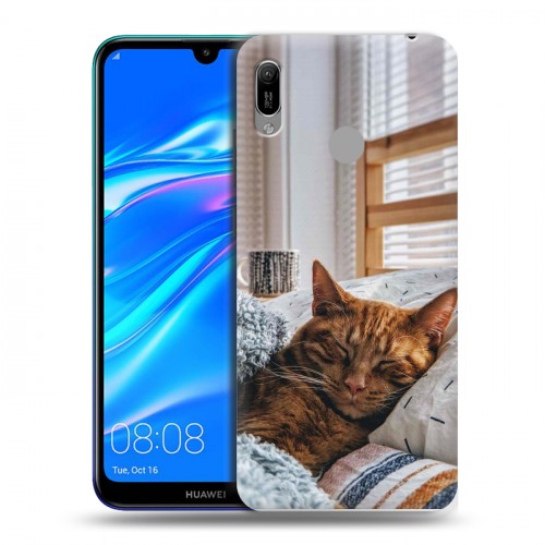 Дизайнерский пластиковый чехол для Huawei Y6 (2019) Коты