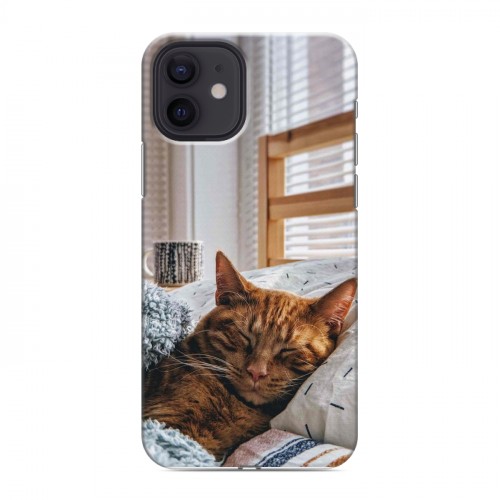 Дизайнерский силиконовый чехол для Iphone 12 Коты