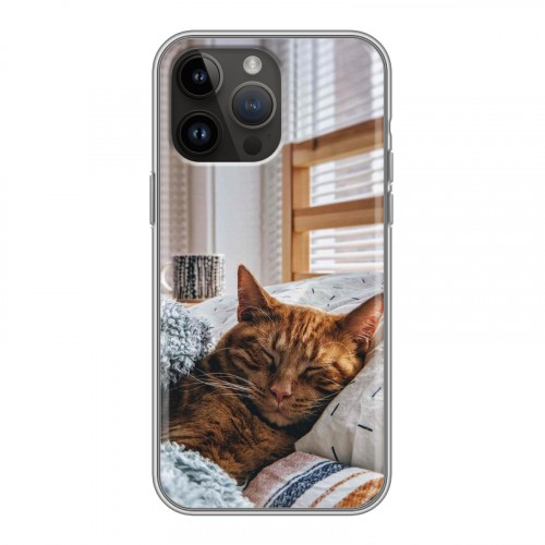 Дизайнерский силиконовый с усиленными углами чехол для Iphone 14 Pro Max Коты