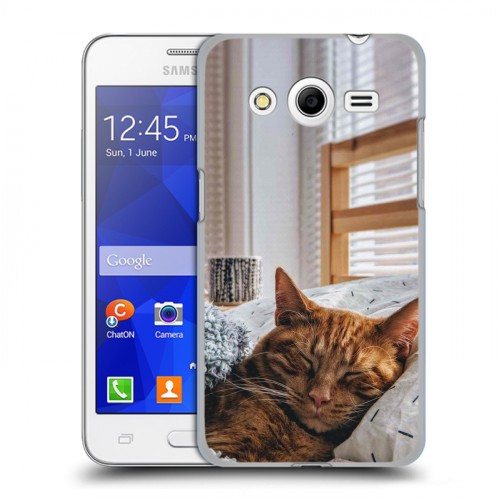 Дизайнерский пластиковый чехол для Samsung Galaxy Core 2 Коты