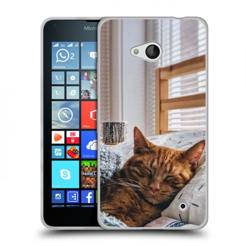 Дизайнерский пластиковый чехол для Microsoft Lumia 640 Коты