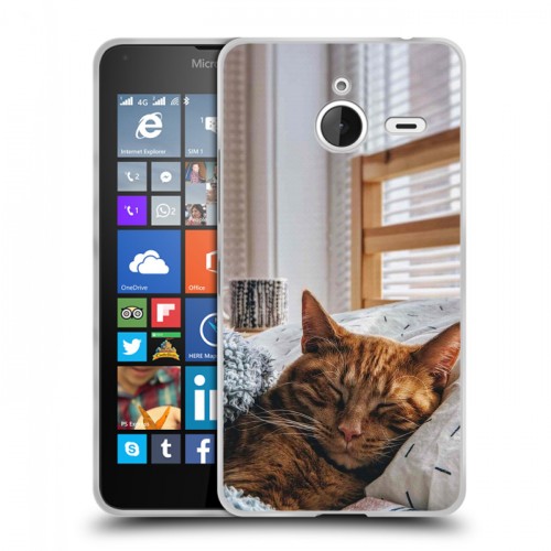 Дизайнерский пластиковый чехол для Microsoft Lumia 640 XL Коты