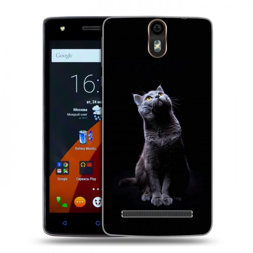 Дизайнерский силиконовый чехол для Wileyfox Storm Коты