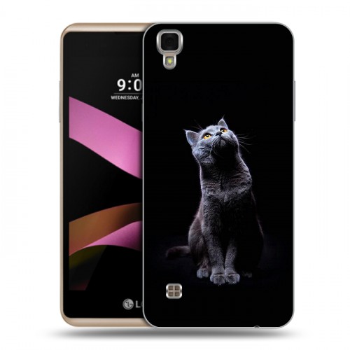 Дизайнерский пластиковый чехол для LG X Style Коты