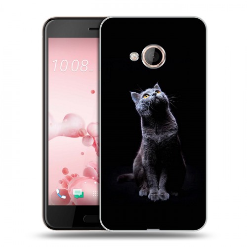 Дизайнерский пластиковый чехол для HTC U Play Коты