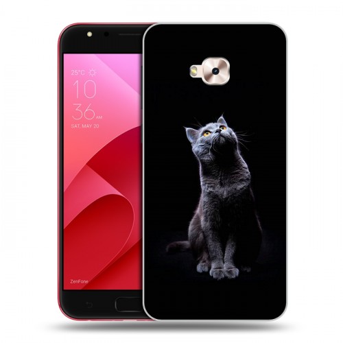 Дизайнерский пластиковый чехол для ASUS ZenFone 4 Selfie Pro Коты