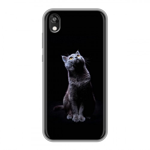 Дизайнерский силиконовый чехол для Huawei Honor 8s Коты