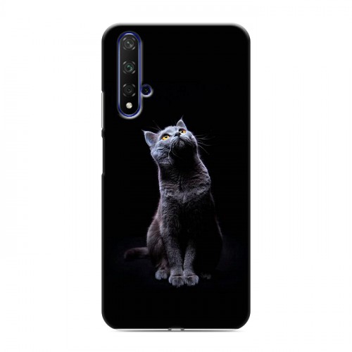 Дизайнерский силиконовый чехол для Huawei Honor 20 Коты