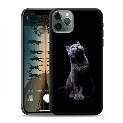 Дизайнерский пластиковый чехол для Iphone 11 Pro Max Коты