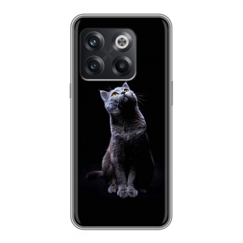 Дизайнерский силиконовый чехол для OnePlus 10T Коты
