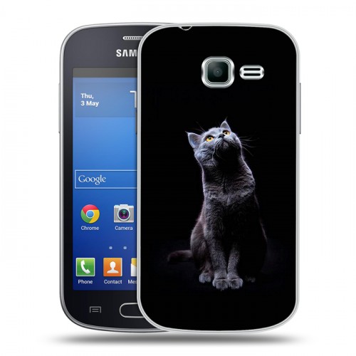 Дизайнерский пластиковый чехол для Samsung Galaxy Trend Lite Коты