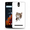 Дизайнерский силиконовый чехол для Wileyfox Storm Коты