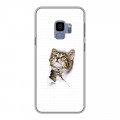 Дизайнерский пластиковый чехол для Samsung Galaxy S9 Коты