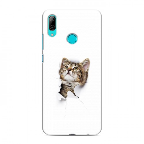 Дизайнерский пластиковый чехол для Huawei P Smart (2019) Коты