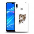 Дизайнерский пластиковый чехол для Huawei Y6 (2019) Коты