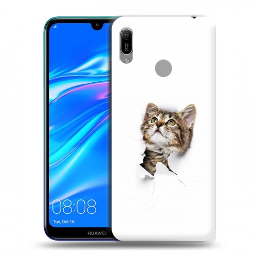 Дизайнерский пластиковый чехол для Huawei Y6 (2019) Коты