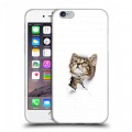 Дизайнерский пластиковый чехол для Iphone 6/6s Коты