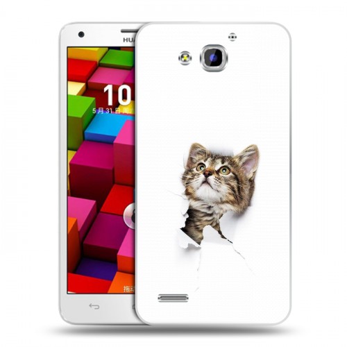 Дизайнерский пластиковый чехол для Huawei Honor 3x Коты