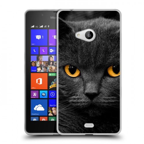 Дизайнерский пластиковый чехол для Microsoft Lumia 540 Коты