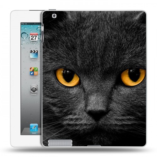 Дизайнерский пластиковый чехол для Ipad 2/3/4 Коты