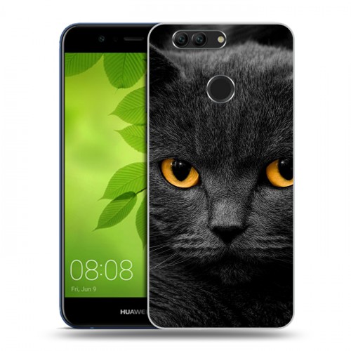 Дизайнерский пластиковый чехол для Huawei Nova 2 Plus Коты