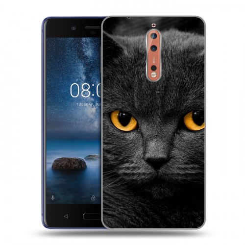 Дизайнерский пластиковый чехол для Nokia 8 Коты