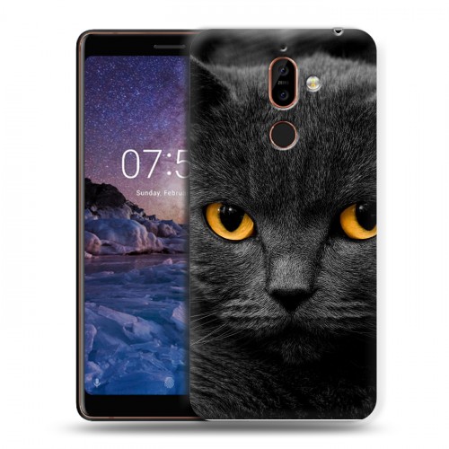 Дизайнерский пластиковый чехол для Nokia 7 Plus Коты