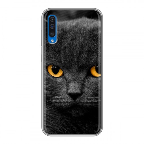 Дизайнерский силиконовый чехол для Samsung Galaxy A50 Коты