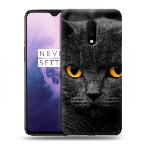 Дизайнерский пластиковый чехол для OnePlus 7 Коты