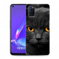 Дизайнерский пластиковый чехол для OPPO A52 Коты