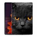 Дизайнерский силиконовый чехол для Samsung Galaxy Tab S7 Plus Коты