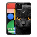 Дизайнерский пластиковый чехол для Google Pixel 5 Коты