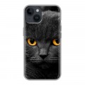 Дизайнерский пластиковый чехол для Iphone 14 Коты