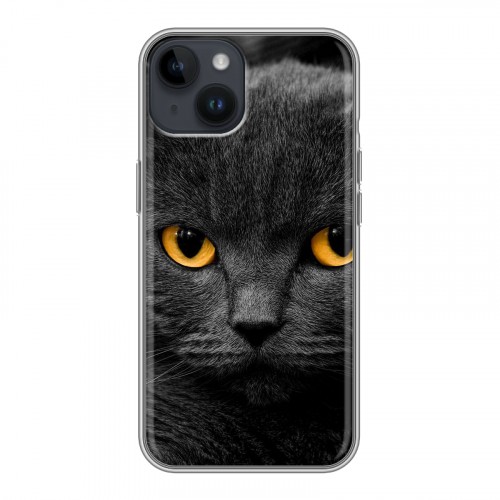 Дизайнерский пластиковый чехол для Iphone 14 Коты