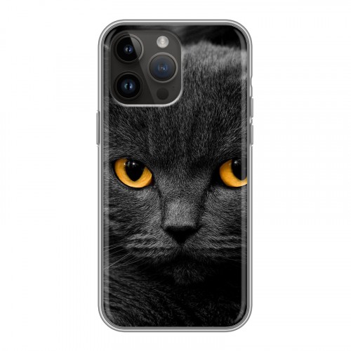 Дизайнерский силиконовый с усиленными углами чехол для Iphone 14 Pro Max Коты