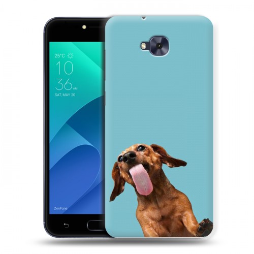Дизайнерский пластиковый чехол для ASUS ZenFone 4 Selfie Мятные звери