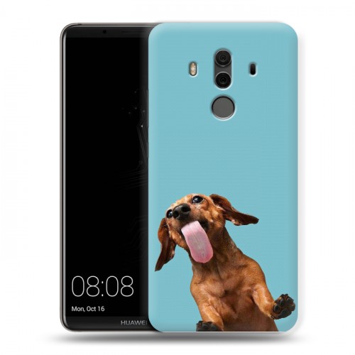 Дизайнерский пластиковый чехол для Huawei Mate 10 Pro Мятные звери