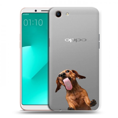 Дизайнерский пластиковый чехол для OPPO A83 Мятные звери