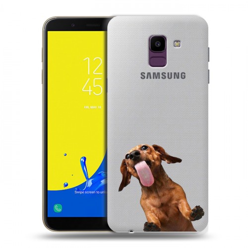 Дизайнерский пластиковый чехол для Samsung Galaxy J6 Мятные звери