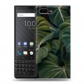 Дизайнерский пластиковый чехол для BlackBerry KEY2 Нуарные листья