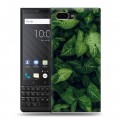 Дизайнерский пластиковый чехол для BlackBerry KEY2 Нуарные листья