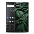 Дизайнерский пластиковый чехол для BlackBerry KEY2 Нуарные листья