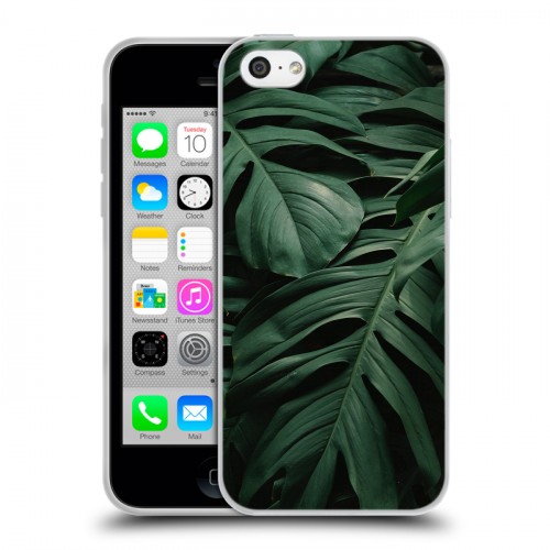 Дизайнерский пластиковый чехол для Iphone 5c Нуарные листья