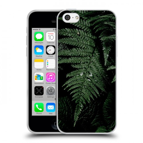 Дизайнерский пластиковый чехол для Iphone 5c Нуарные листья