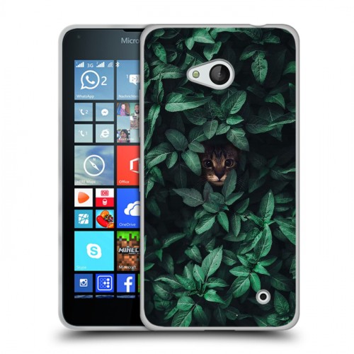 Дизайнерский пластиковый чехол для Microsoft Lumia 640 Нуарные листья