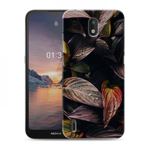 Дизайнерский силиконовый чехол для Nokia 1.3 Нуарные листья