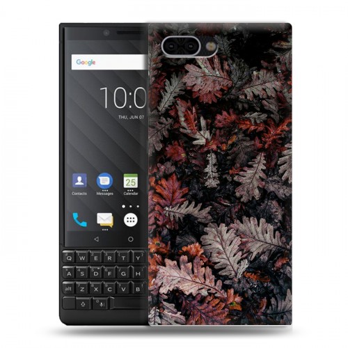 Дизайнерский пластиковый чехол для BlackBerry KEY2 Нуарные листья