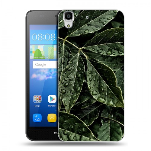 Дизайнерский пластиковый чехол для Huawei Y6 Нуарные листья