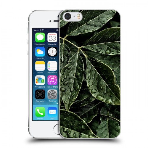 Дизайнерский пластиковый чехол для Iphone 5s Нуарные листья