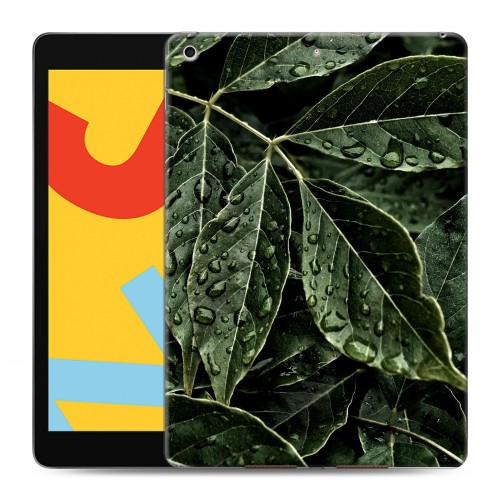 Дизайнерский силиконовый чехол для Ipad 10.2 (2019) Нуарные листья